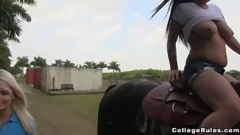 Public Humiliation: College Girls Suck And Fuck Their Classmate In Front Of Everyone